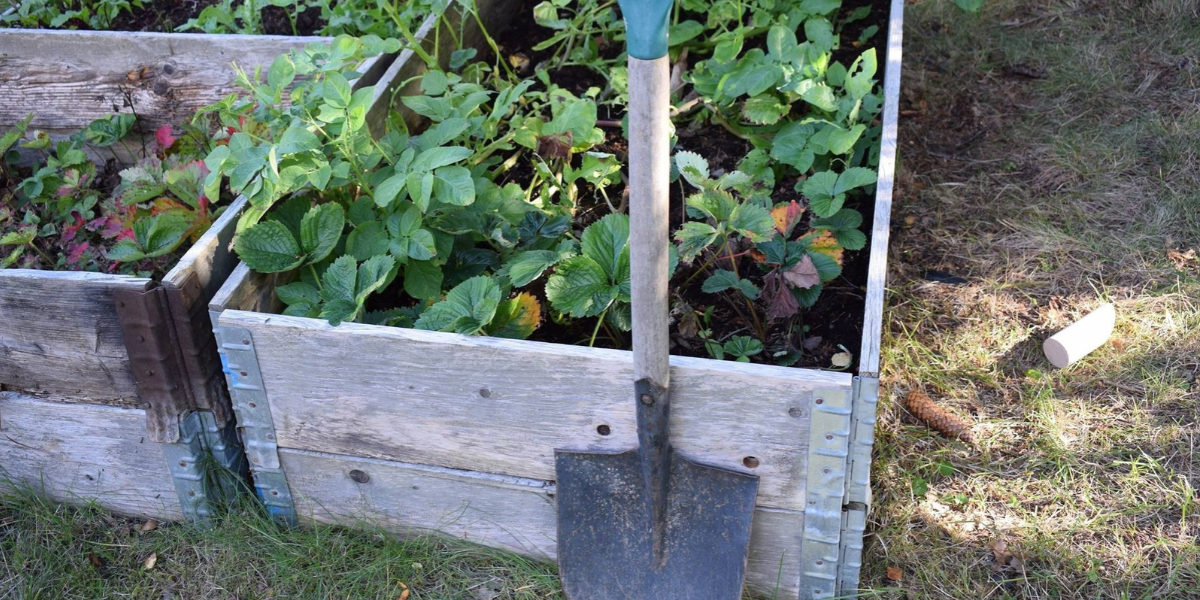 Small raised bed